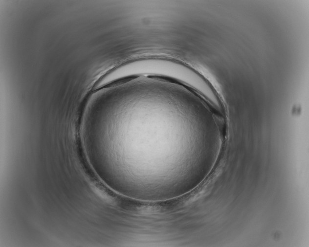 X0000096160105200802011305