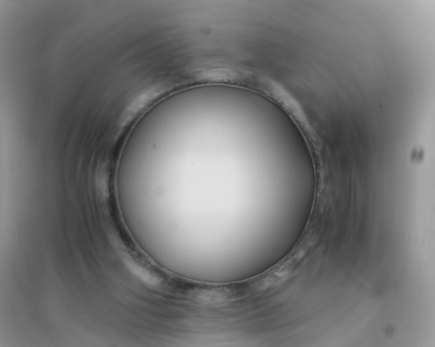 X0000096160106200802011305