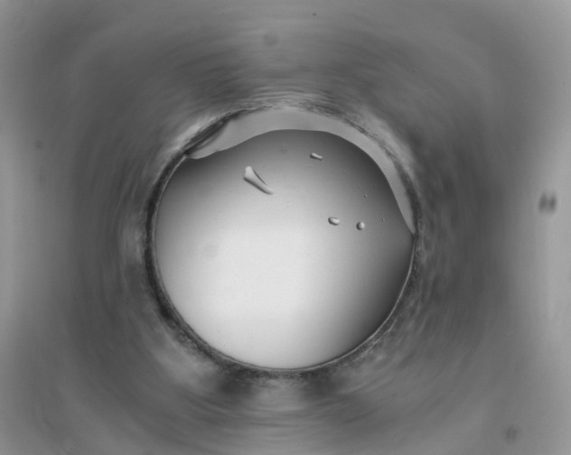 X0000096160107200802011305