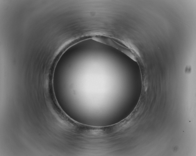 X0000096160108200802011305