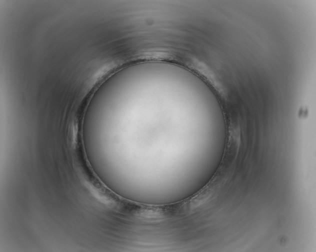 X0000096160110200802011305