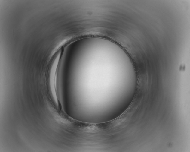 X0000096160112200802011305