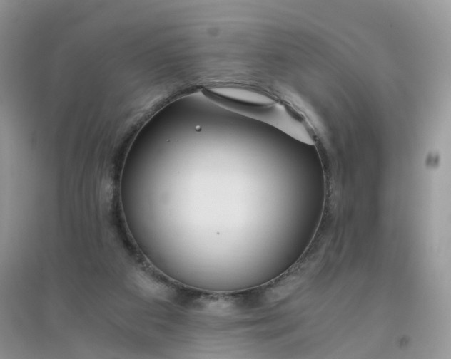 X0000096160113200802011305