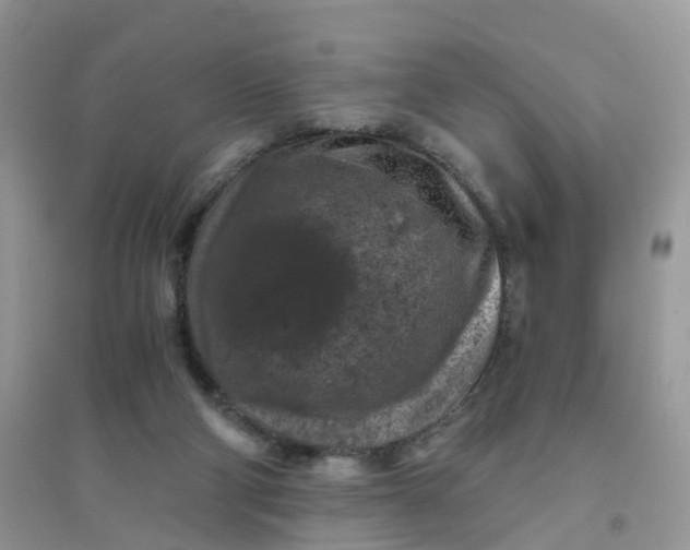 X0000096160114200802011305