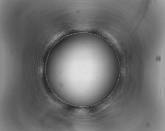 X0000096160115200802011305