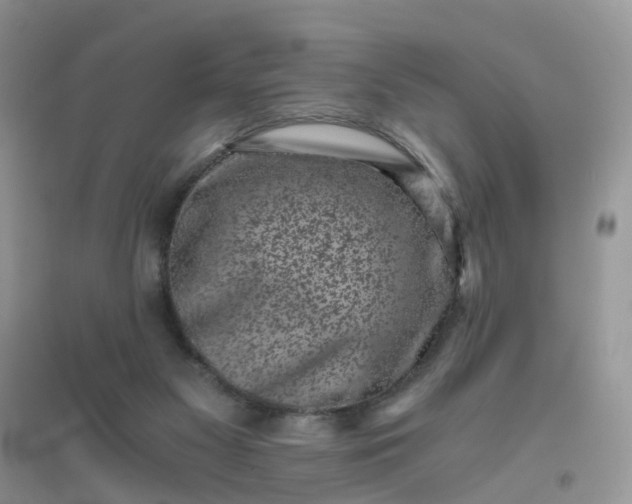 X0000096160117200802011305