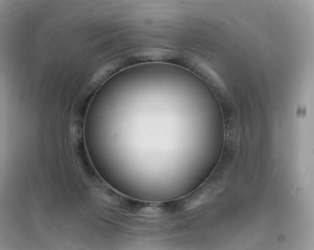 X0000096160119200802011305