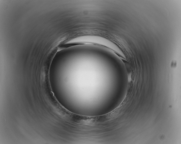 X0000096160120200802011305