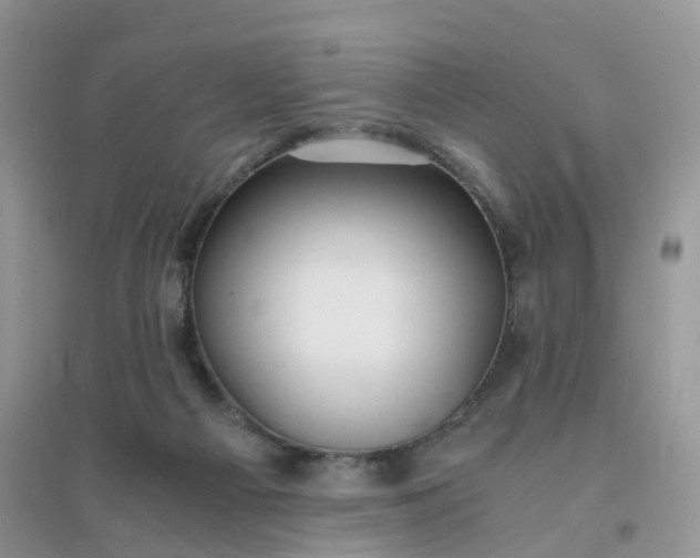 X0000096160121200802011304