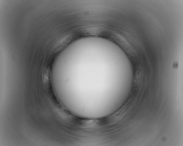 X0000096160122200802011304