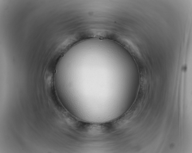 X0000096160123200802011304