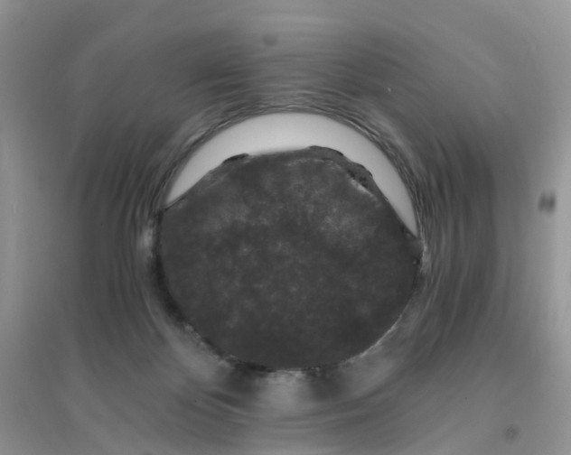 X0000096160124200802011304