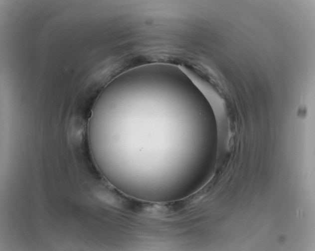 X0000096160125200802011304