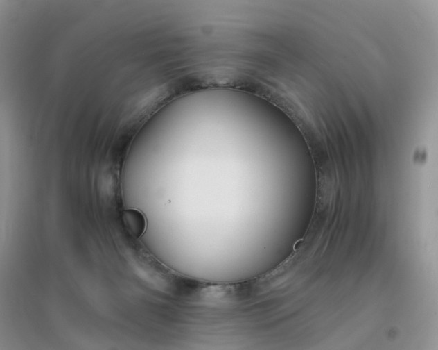 X0000096160126200802011304