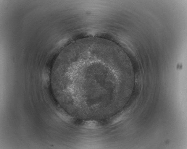 X0000096160127200802011304