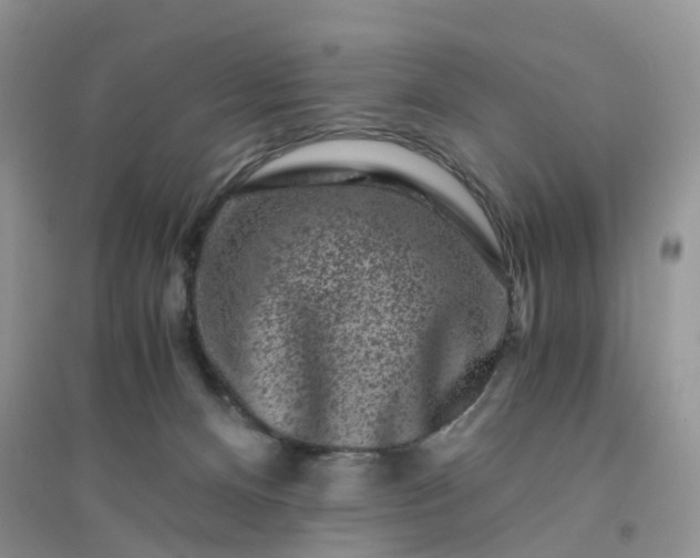 X0000096160128200802011304