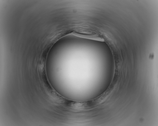 X0000096160129200802011304