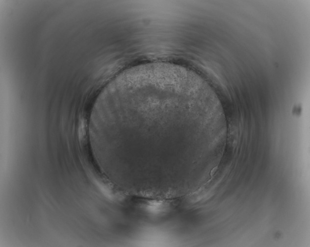 X0000096160130200802011304