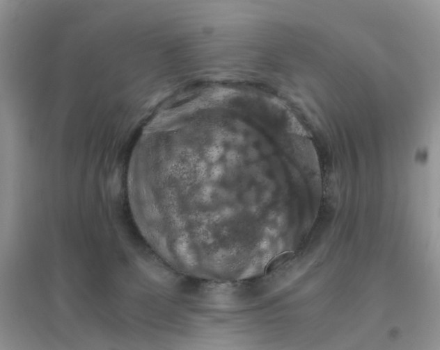 X0000096160131200802011304