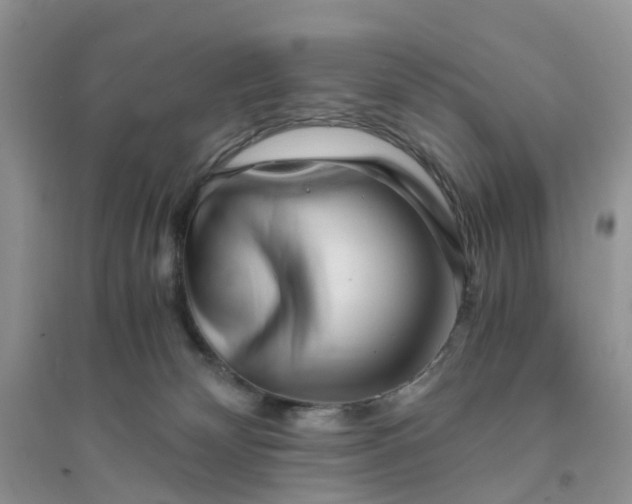 X0000096160132200802011304