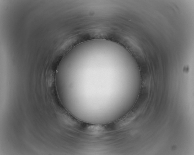 X0000096160133200802011304