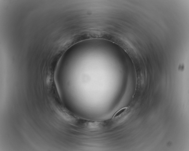 X0000096160134200802011304