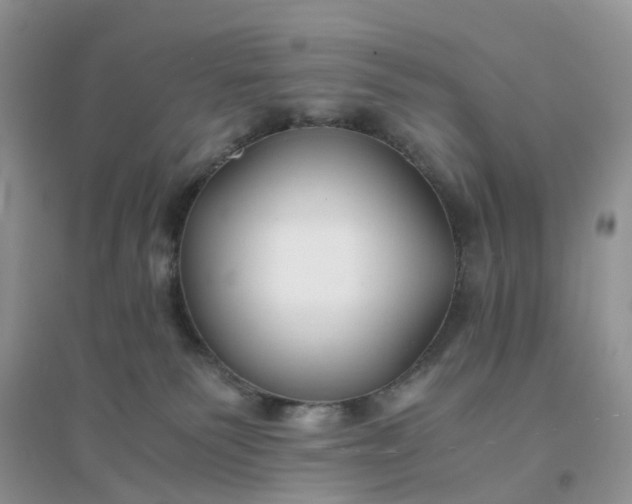 X0000096160135200802011304