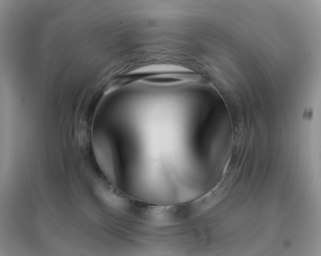 X0000096160136200802011304