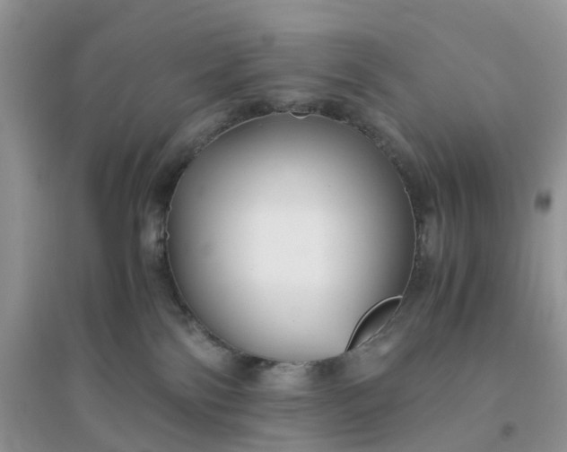 X0000096160138200802011304