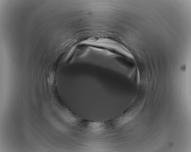 X0000096160139200802011304