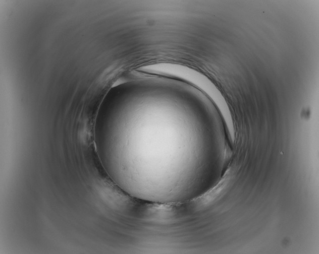 X0000096160140200802011304