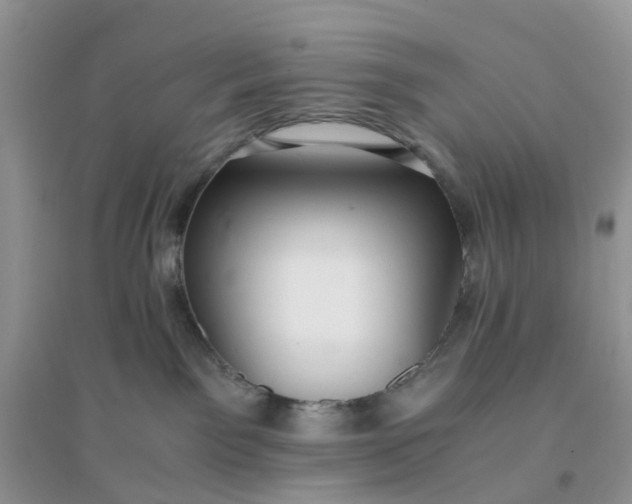 X0000096160141200802011304