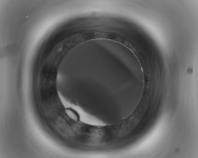 X0000096160143200802011304