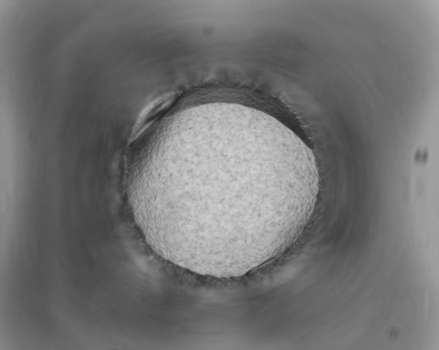 X0000096160144200802011304