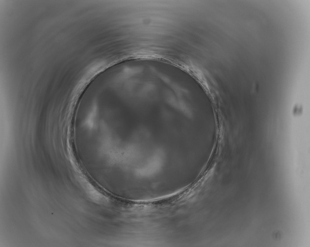 X0000096160145200802011303