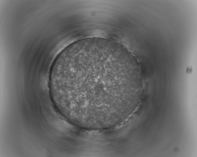 X0000096160146200802011303