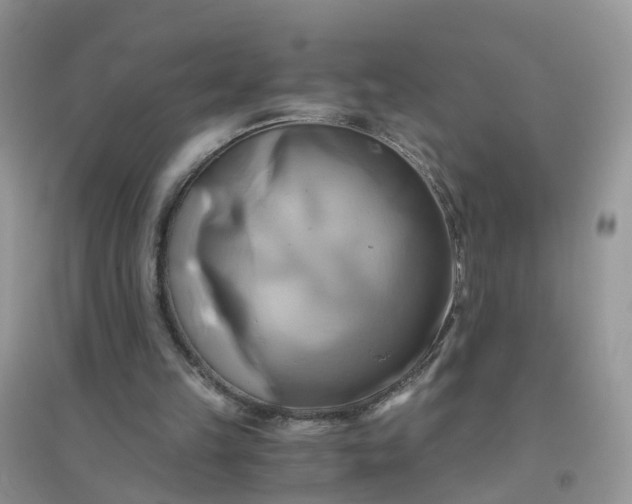 X0000096160149200802011303