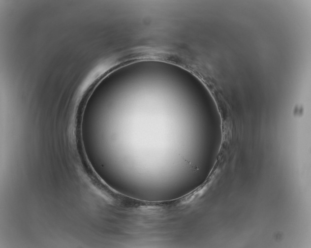 X0000096160150200802011303