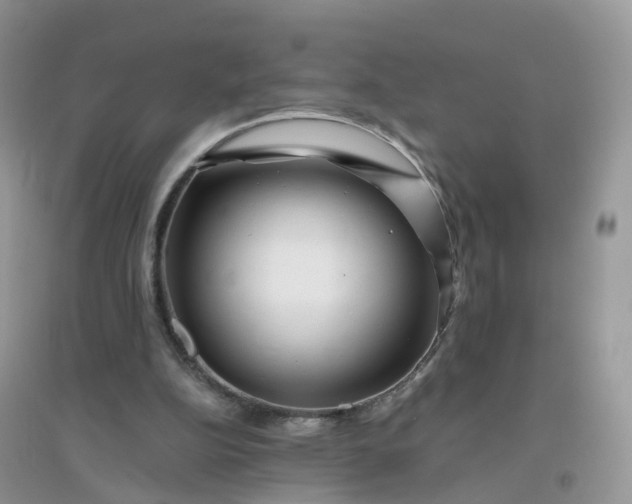 X0000096160152200802011303