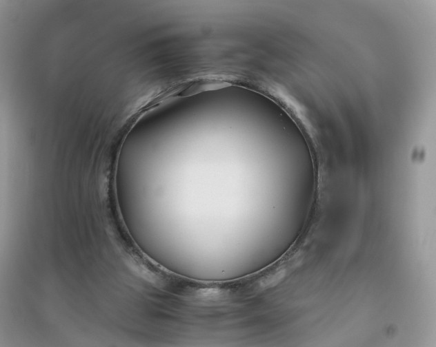 X0000096160153200802011303