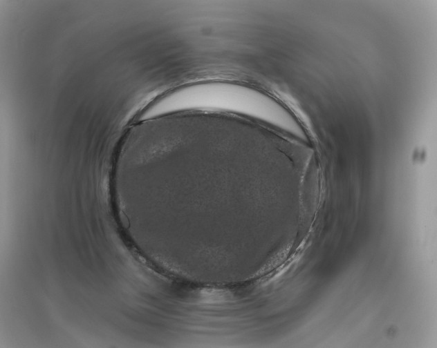 X0000096160154200802011303