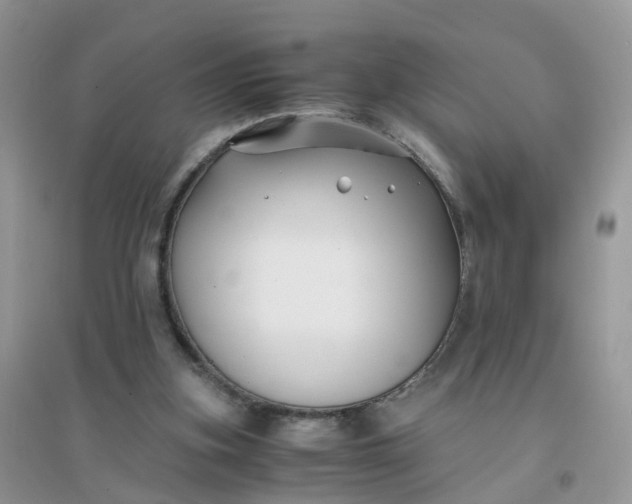 X0000096160155200802011303