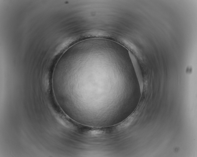 X0000096160158200802011304