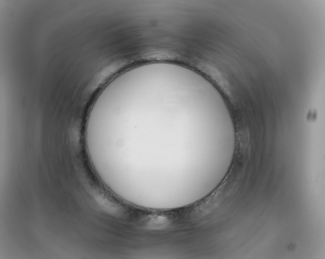 X0000096160159200802011304