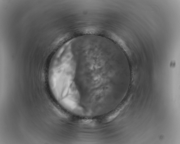 X0000096160161200802011304