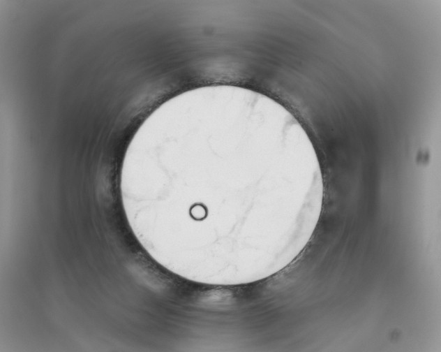 X0000096160162200802011304