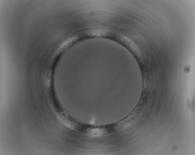 X0000096160163200802011304