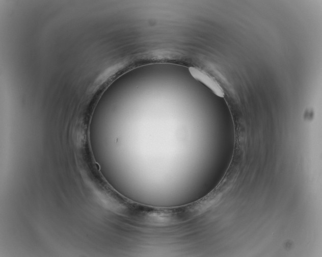 X0000096160164200802011304