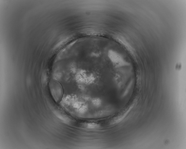 X0000096160165200802011304