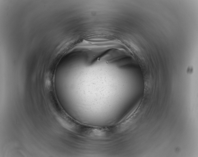 X0000096160166200802011304